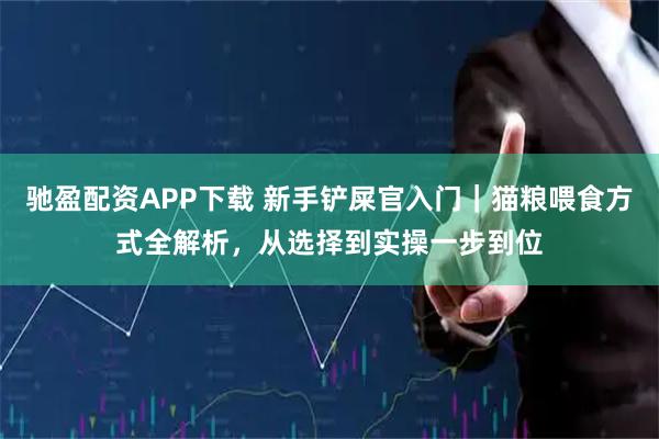 驰盈配资APP下载 新手铲屎官入门｜猫粮喂食方式全解析，从选择到实操一步到位
